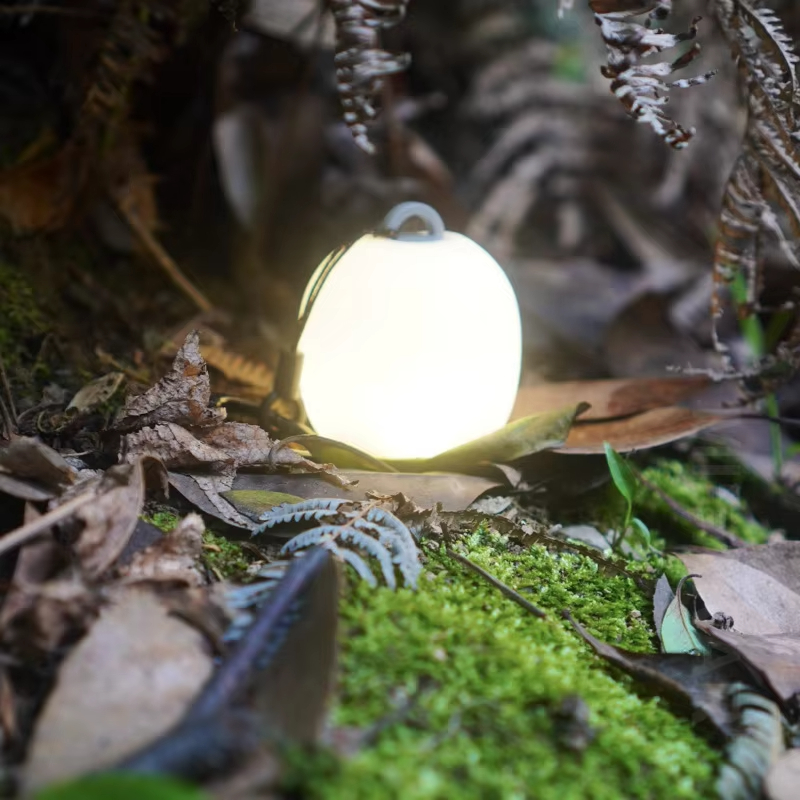 Mini Egg-Shaped Squeeze Silico - đánh giá và giá Camping Cooking Cup